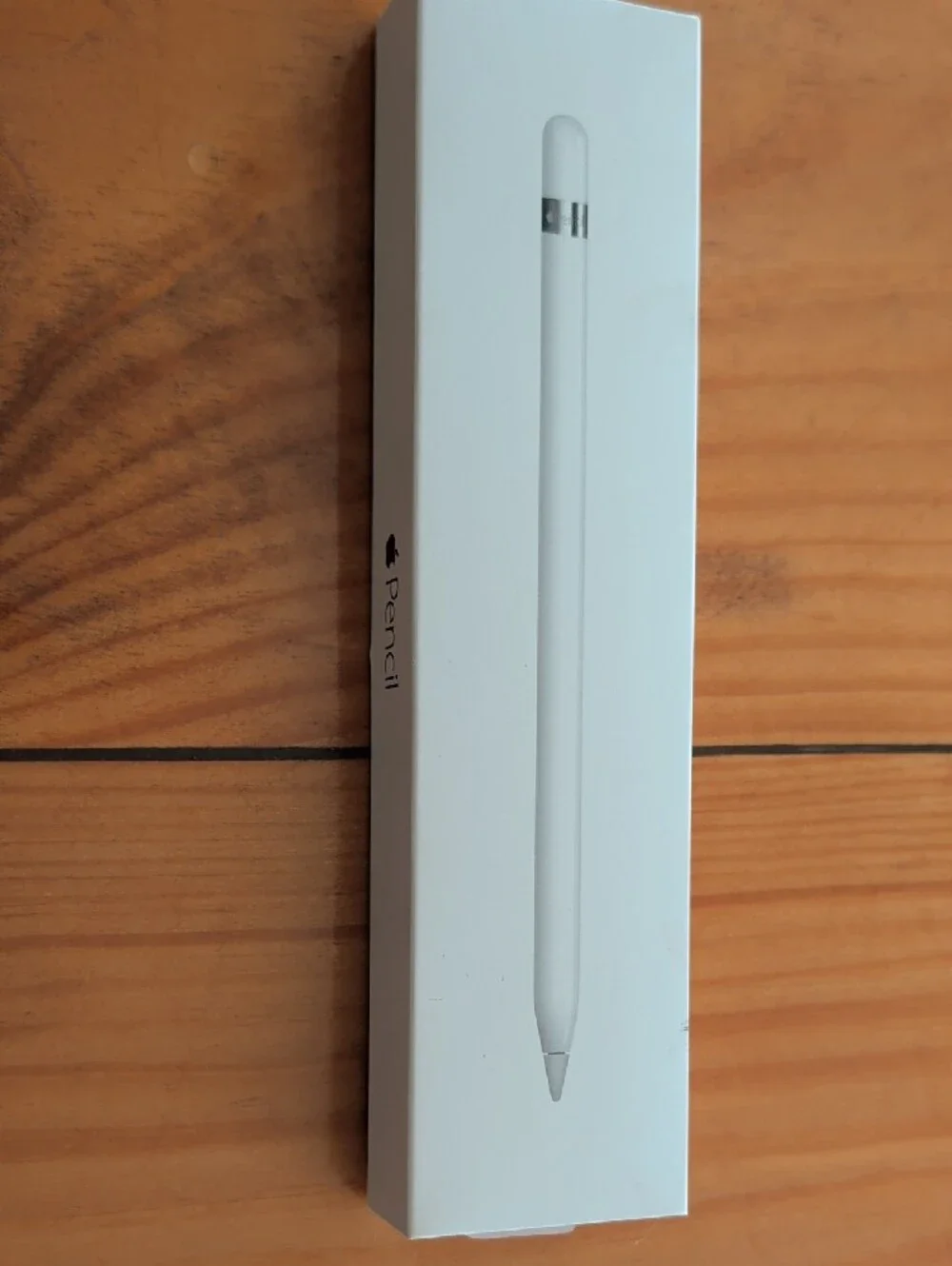 Apple Pencil (White) with Silver Accent - iPad Stylus